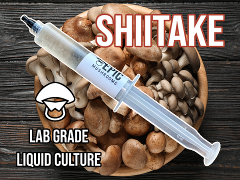 Shiitake Liquid Culture